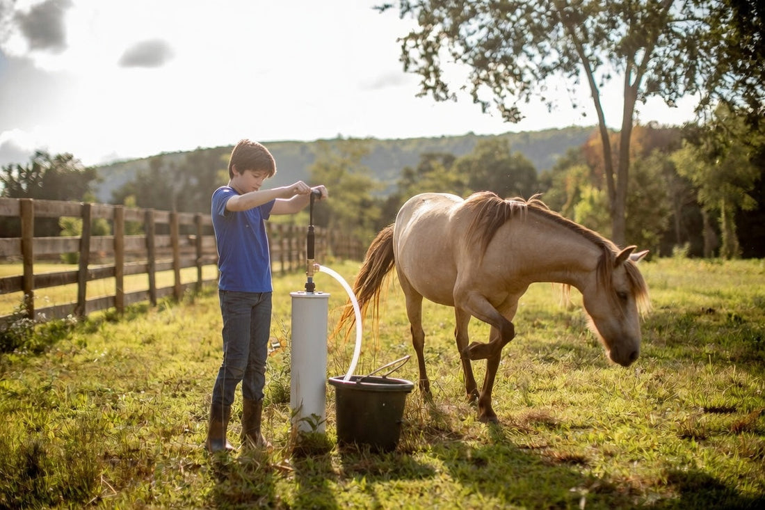 Off-Grid But Not Off-Guard: Water Solutions for Independent Living