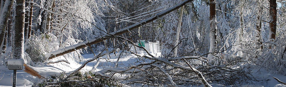 A rural homestead lacks power and a backup well pump during an ice storm.